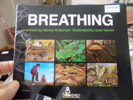 Breathing by Honey Anderson non fiction 