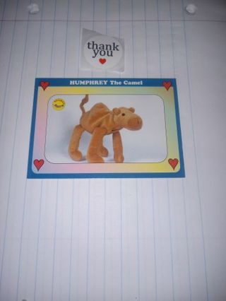 Ty Beanie Baby Card