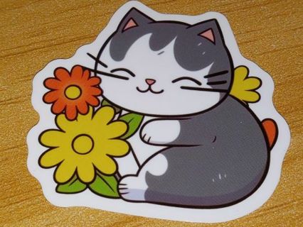 Cute one new vinyl laptop sticker no refunds regular mail only