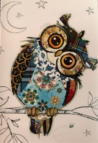 Owl art - 3 x 5” MAGNET - GIN ONLY