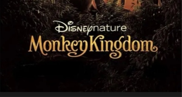 Disney Monkey Kingdom - HD GP 