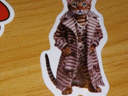 Cat Cute new one vinyl lap top sticker no refunds regular mail very nice quality