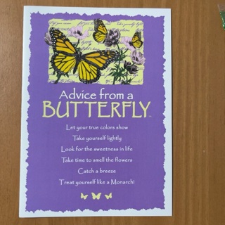 Butterfly Note Card