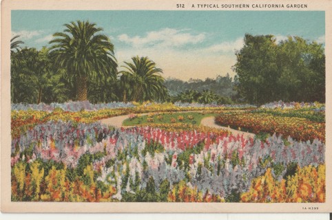 Vintage Unused Postcard: e: Southern California Garden