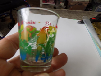 Virgin Islands shot glass parrots all around