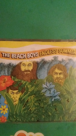 cd the beach boys endless summer free shipping