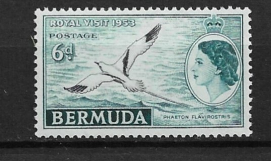 1953 Bermuda Sc152 6p Yellow Billed Tropic Bird MNH