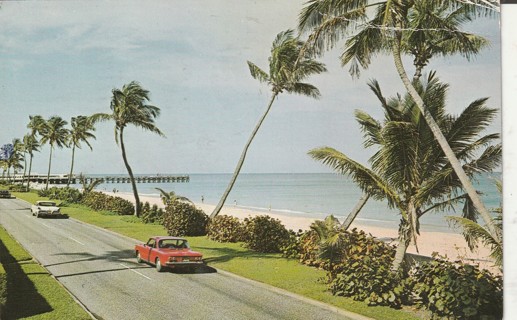 Vintage Used Postcard: B: 1970 Palm Beach, FL