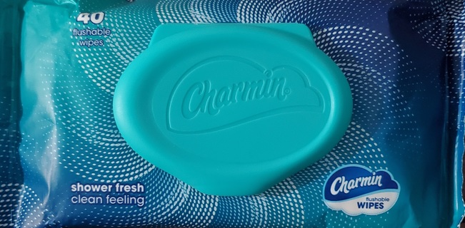 CHARMIN FLUSHABLE WIPES