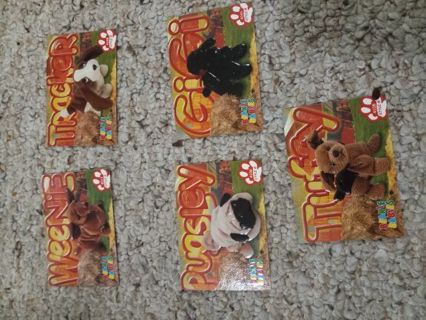 5 beanie baby cards I need to sell this