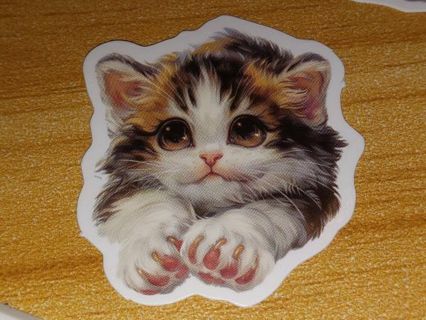 Cute new 1⃣ small lap top sticker no refunds regular mail very nice quality