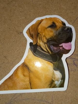 Dog Cute new vinyl lap top sticker no refunds regular mail very nice quality