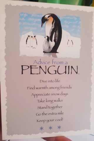 Advice From a Penguin Card with Envelope