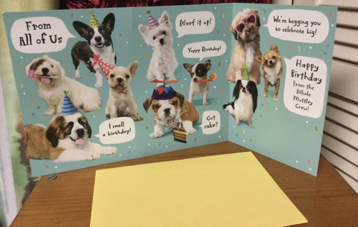 Ten Dog Birthday Card