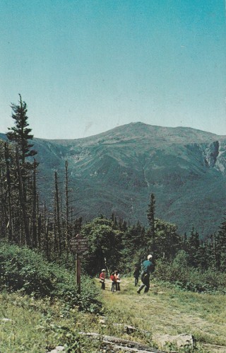 Vintage Unused Postcard: c: Wildcat Mountain Gondola, Pinkham Notch, Jackson, NH