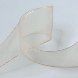 Peach Semi Sheer Iridescent Edge 2” Wide Ribbon 