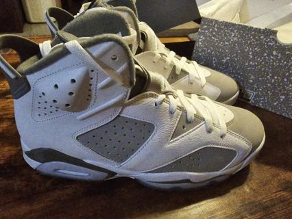 Air Jordan Retro 6 cool grey mens size 10