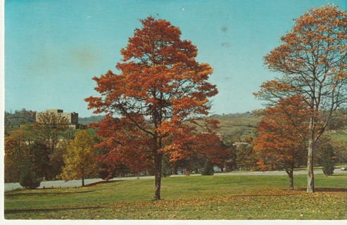 Vintage Used Postcard: A: Riverbend Park, Clarksburg, WV