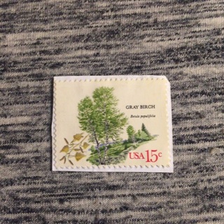 Gray Birch USA 15 Cent Postage Stamp | Uncanceled (Used)