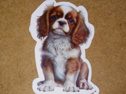 Dog Cute one new nice vinyl sticker no refunds regular mail only Very nice