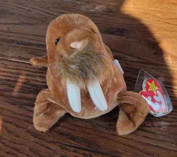 new with ty tag PAUL the WALRUS=8"