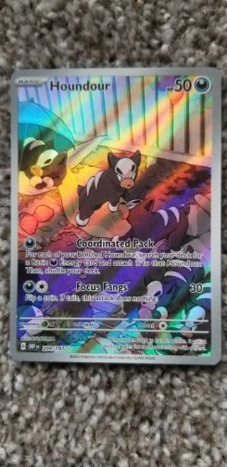 HOUNDOUR FULL ART 204/197