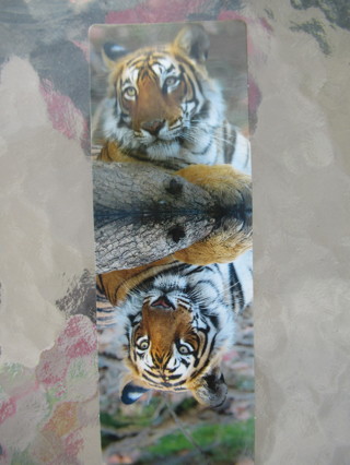 Darling BOOKMARK card from Worldwildlife.org