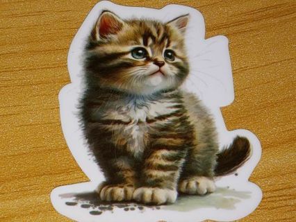 Cat Cute new 1⃣ vinyl sticker no refunds regular mail only Very nice these are all nice