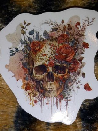 Beautiful one nice one vinyl sticker no refunds regular mail only Very nice quality!