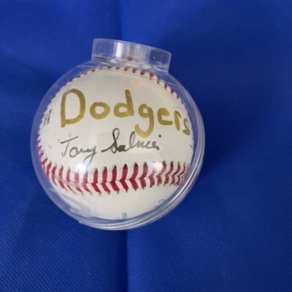 Baseball signed by ???