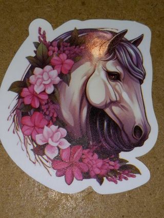 Beautiful one nice vinyl sticker no refunds regular mail only Very nice quality!