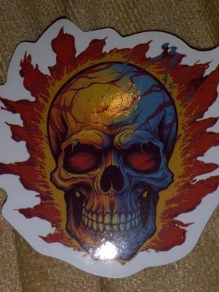 New Cool one big nice vinyl sticker no refunds regular mail only Very nice quality!