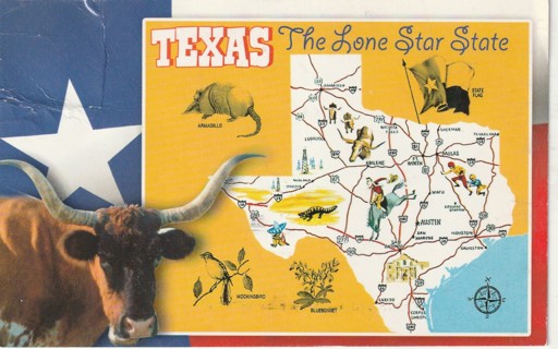 Vintage Used Postcard: C: Texas The Lone Star State