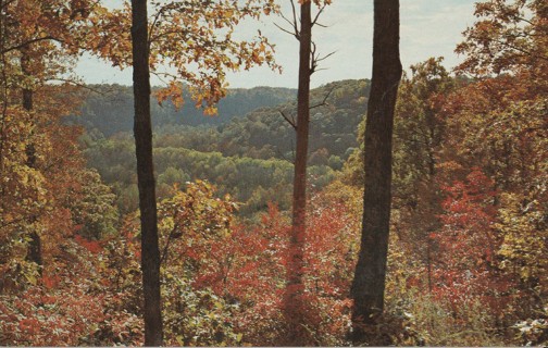 Vintage Unused Postcard: o: Sunset Point Overlook, Mammoth Cave Park, KY