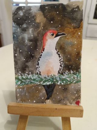 Original, Watercolor Painting " 2-1/2 X 3-1/2" ACEO Red-Bellied Woodpecke by Artist Marykay Bond