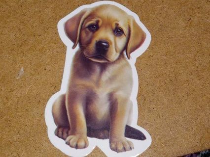 So Cute one new nice vinyl lab top sticker no refunds regular mail high quality!