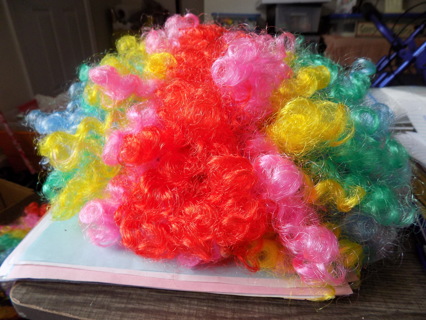 Rainbow curly clown wig # 2/ dressups