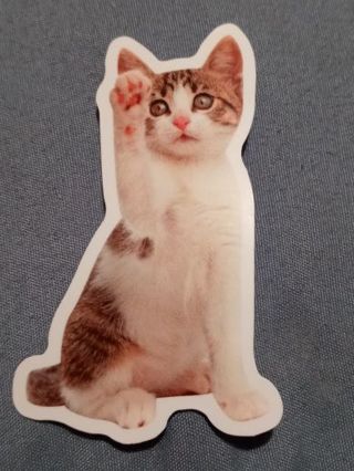 Cat Cute one sticker no refunds regular mail only Very nice quality! Win 2 or more get bonus