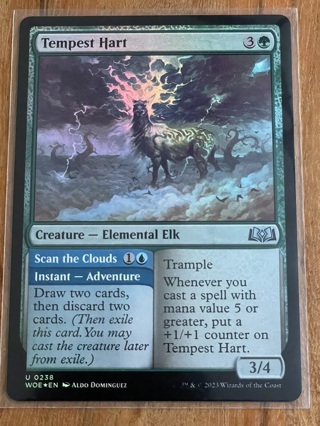 Tempest Hart 238 Foil - MTG - Magic The Gathering - Wilds Of Eldraine