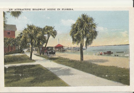 Vintage Unused Postcard: gin: Pre Linen: Roadway Scene in Florida