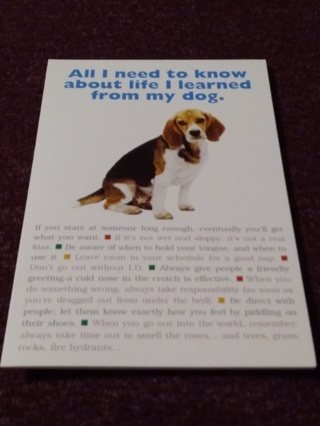 Greeting Card - All I Need To Know...Dog