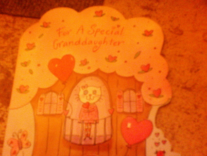 granddaughter valentine card + extras