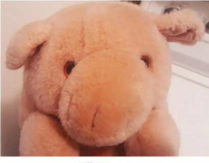 Pig Stuffed Animal