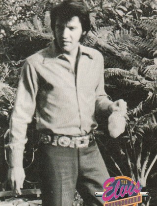 Vintage 1992 Elvis Trade/Collectible Card