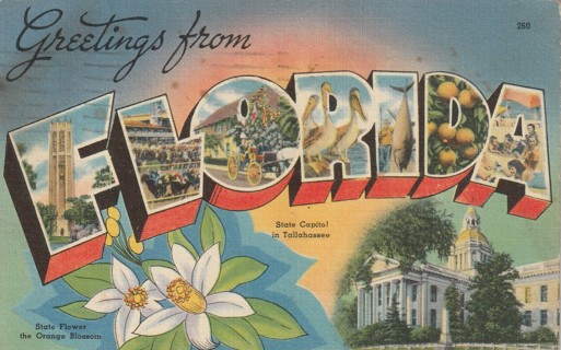 Vintage Used Postcard: Greetings from Florida