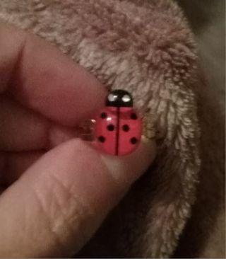 3pc Lady bug adjustable rings