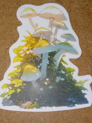 Pretty new 1⃣ vinyl sticker no refunds regular mail only Very nice win 2 or more get bonus