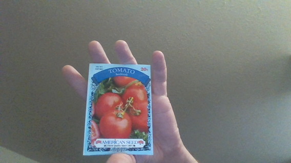 tomato beefsteak