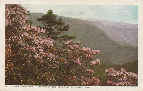 Vintage Used Postcard: (f): 1946 Heart of the Mountains, 