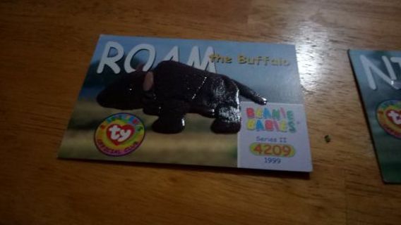 Roam the Buffalo